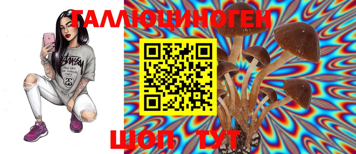Галлюциногенные грибы GOLDEN TEACHER  Галлюциногенные грибы Psilocybine cubensis  Кольчугино  купить   Вход с VPN 